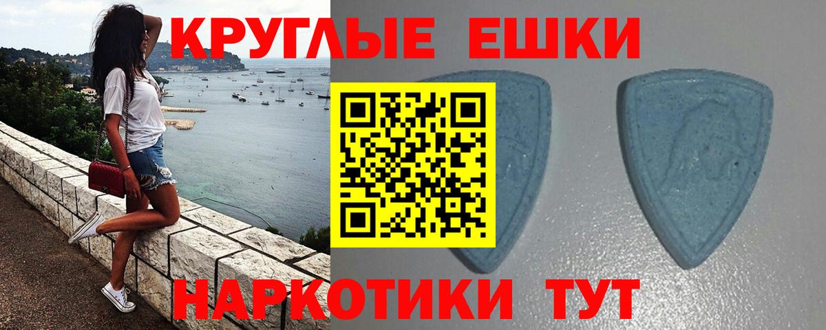 Ecstasy ешки  Экстази Philipp Plein  Лыткарино  Вход с VPN 