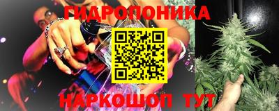 ECSTASY Чебоксары