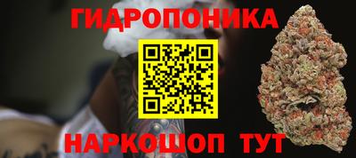 ECSTASY Чебоксары