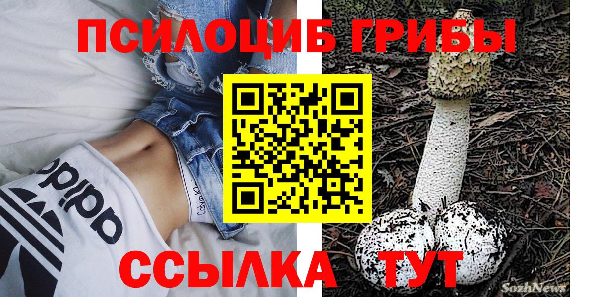 Псилоцибиновые грибы Cubensis  Псилоцибиновые грибы мухоморы  Вход с VPN  Лыткарино 